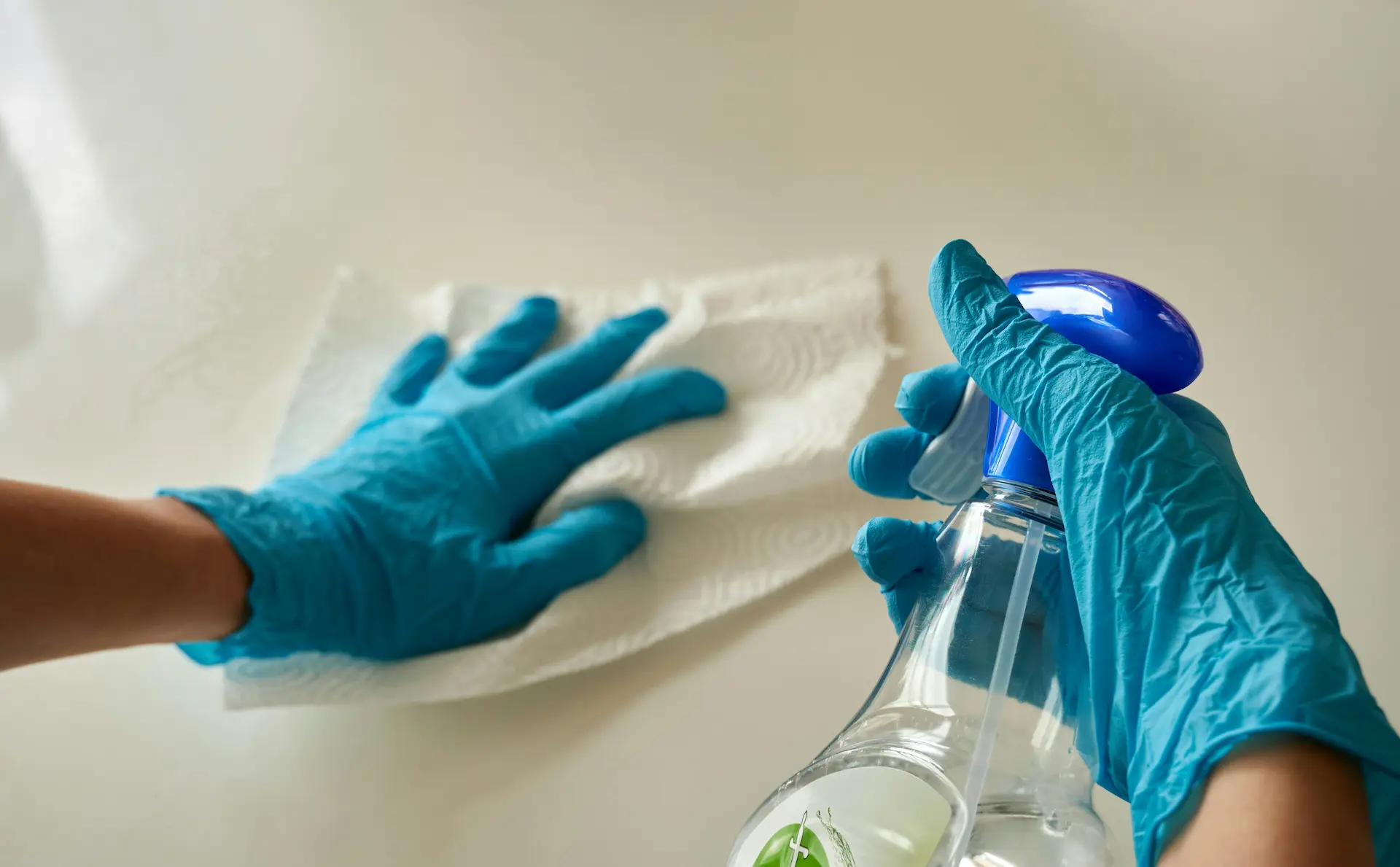 steam cleaning carpets